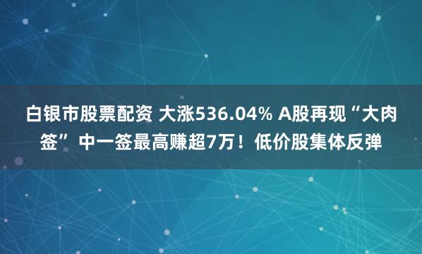 白银市股票配资 大涨536.04% A股再现“大肉签” 中一签最高赚超7万！低价股集体反弹