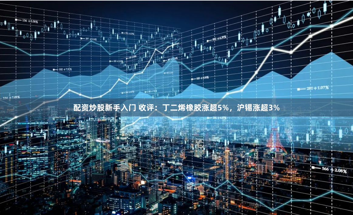 配资炒股新手入门 收评：丁二烯橡胶涨超5%，沪锡涨超3%