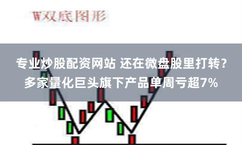 专业炒股配资网站 还在微盘股里打转？多家量化巨头旗下产品单周亏超7%