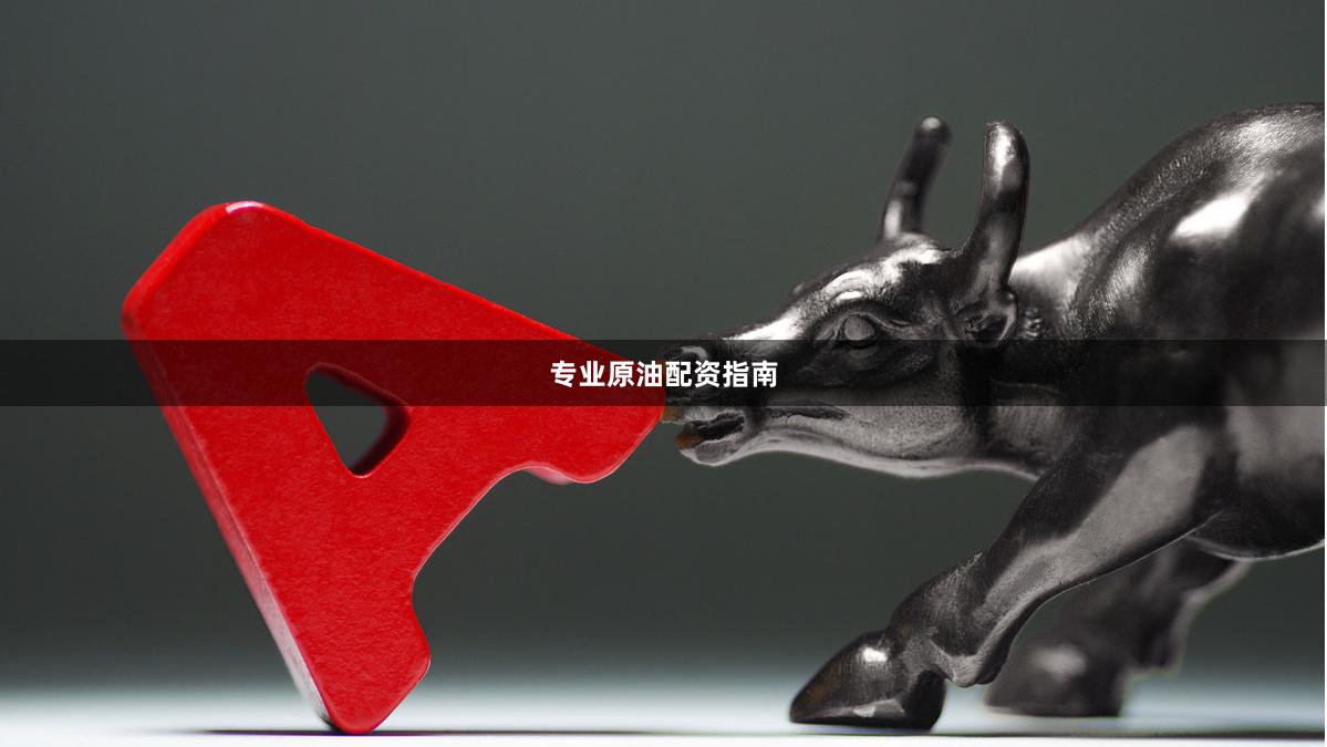 专业原油配资指南