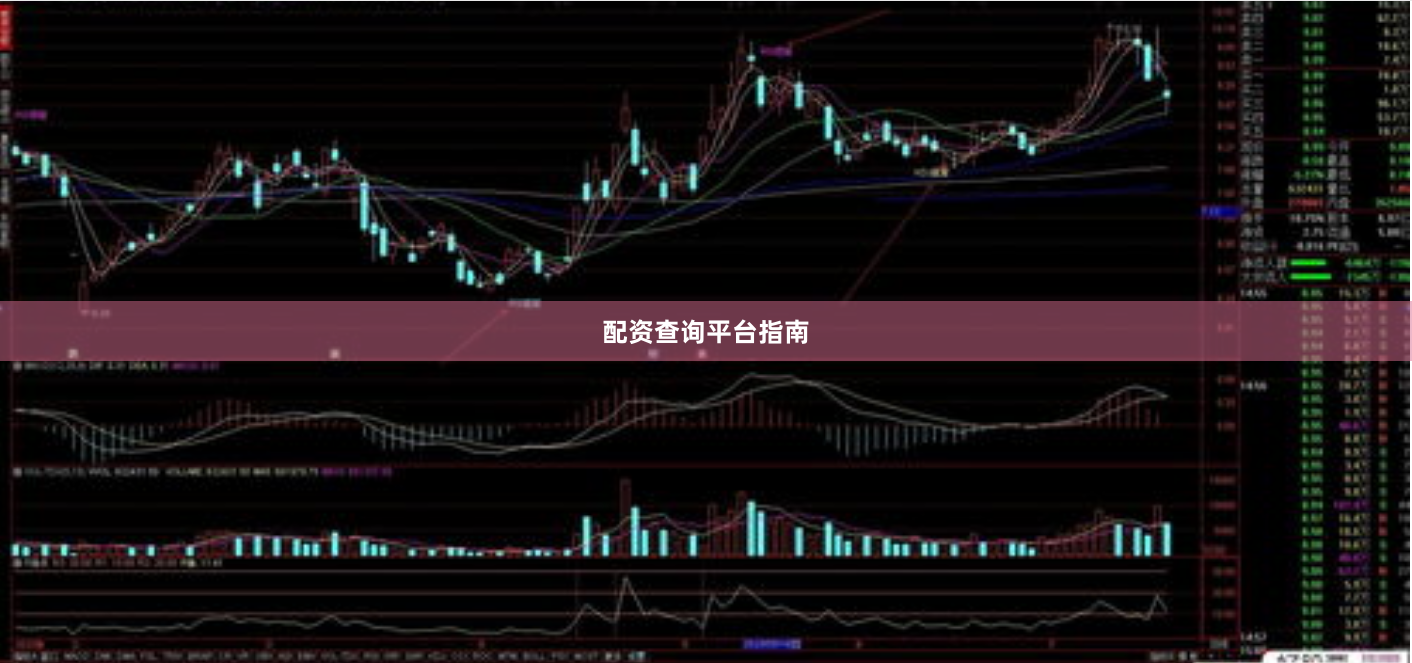 配资查询平台指南