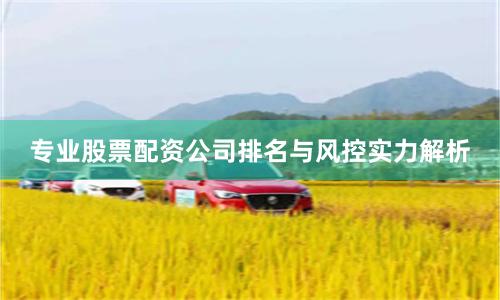 专业股票配资公司排名与风控实力解析